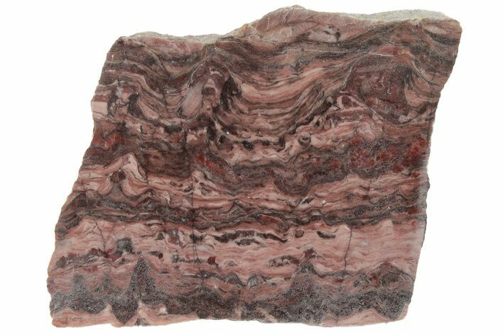 Polished Kona Dolomite (Stromatolite) Slab - Michigan #197994